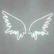 cの画像