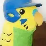 気まぐれヘルメットインコ