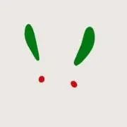 のらの画像