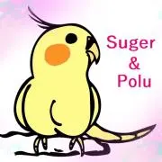 suger＆poluサマー福袋〜の画像