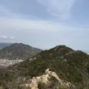 な