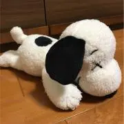 まりのり