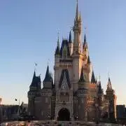 はるの画像