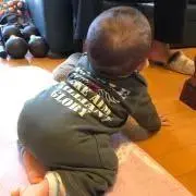 チョコボ