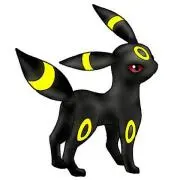 ブラッキーの画像