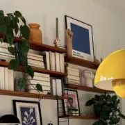 昔から猫の画像