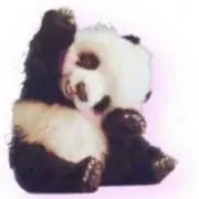 ぽん