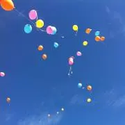 クラリスの画像