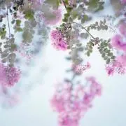 rmの画像