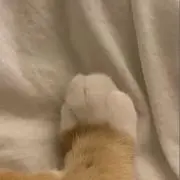 ⠀の画像