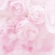 アメの画像