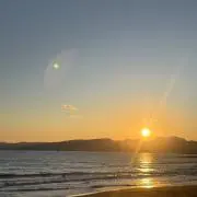かめの画像