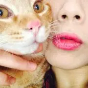 とてちてと (値下げ交渉しません)
