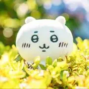 たっこママ