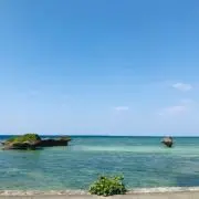 mjの画像