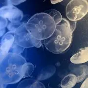 イースター大将⚠プロフ必読の画像