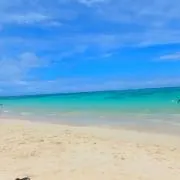 ぴたぬの画像