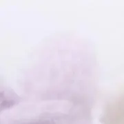 マチダの画像