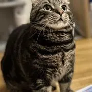 今日の健康