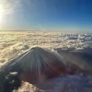 かなの画像