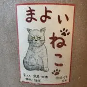 かがみんの画像