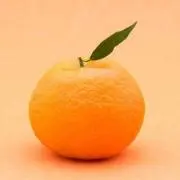 Sut
