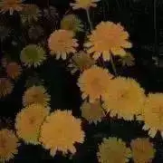 m-321の画像
