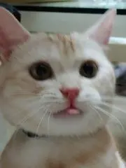 なつ☆