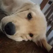 りょうた