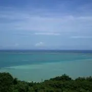 Naaaasan☺︎の画像