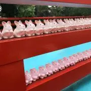 凛の画像