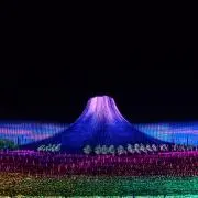 ひでとんっちの画像