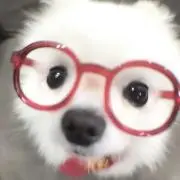 Allen雑貨☆プロフィ必読の画像
