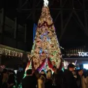 ミイラの画像