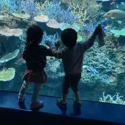 なかれいの画像