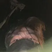 折木の画像