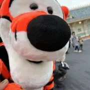 Yの画像