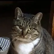 you