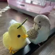 じゅんの画像
