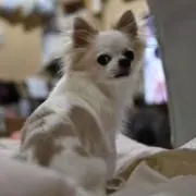 Manaの画像