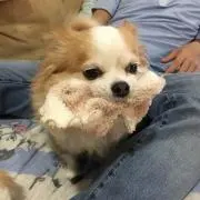 まめべー