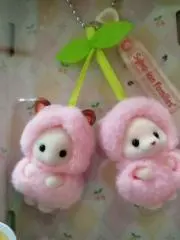 さくらの画像