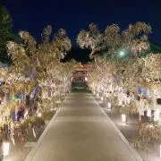 ぽむぽむの画像