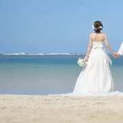 なっしーの画像
