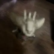 なっさいの画像
