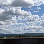 ポールの画像