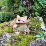 YOUの画像