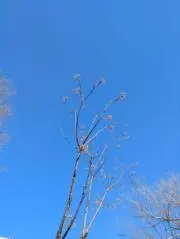 うみの画像