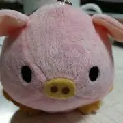 甘夏リングの画像
