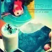 NUTTSの画像